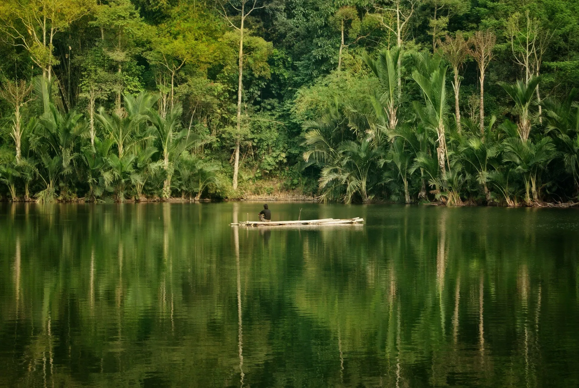Forêt